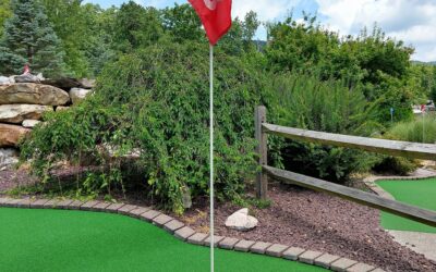 Choosing the Best Putting Green for Your Backyard: Natural vs. Synthetic Options