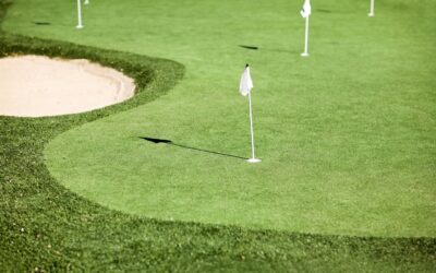 Transform Your Yard with Small Backyard Putting Green Ideas That Sharpen Your Golf Skills