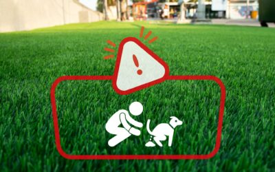 The Complete Guide on How to Clean Artificial Turf for Dogs