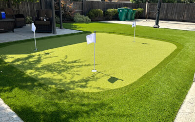 Mastering Artificial Putting Green Maintenance: A Complete Guide